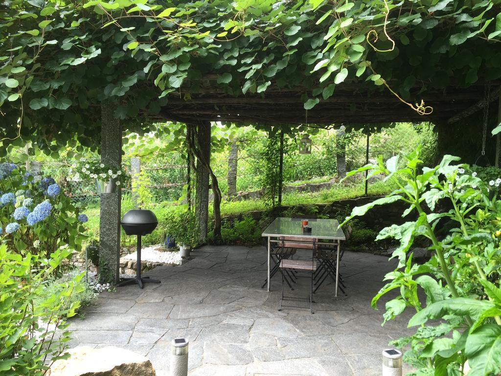 Cs Casa Serena Gambarogno ภายนอก รูปภาพ